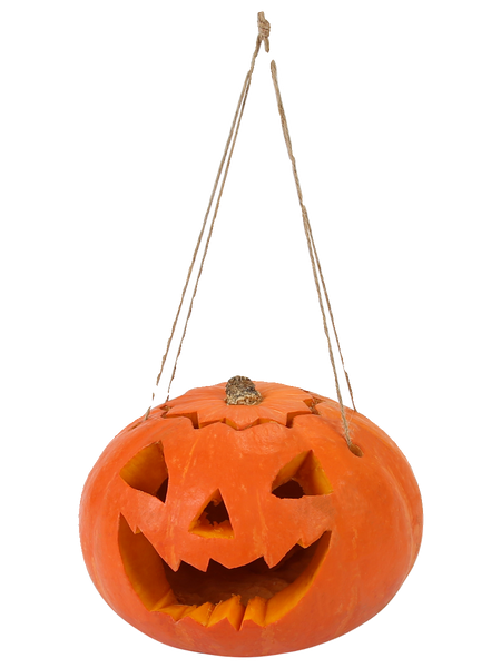 0207ba Children's Hand Carved Real Pumpkin DIY Halloween Pumpkin Lamp Pumpkin Bucket Decorative Lantern Tool and Material Package