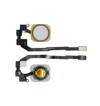 Home Button Compatible with iPhone 5s